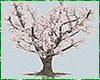 Kawaii Cherry Tree