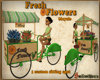 Flower Vendor Bicycle