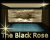 [my]The Black Rose