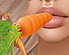 CARROT MOUTH