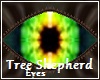 Tree Shepherd Eyes