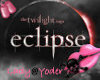 (L@Y)Eclipse Diva Top