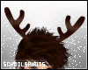 Boys Reindeer Antlers