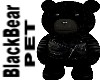 Black Bear Pet