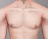 Slim Torso