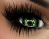 Eyes Sage Green Special