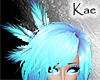 Frost Feathers
