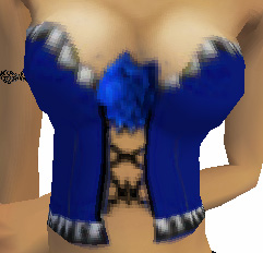 Blue Rose Corset