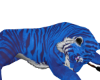 ☢ Tiger Brush Blue