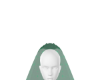 Bridal Veil