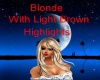 Blonde Light Brown Hair