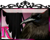 *R* Crows Enhancer