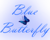 {P}Blue Butterfly