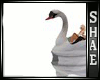 xSx Swan Boat
