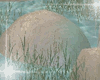 Grass  Rock