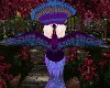 Peacock Animated V1