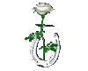 Spinning White Rose