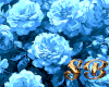 SB | Blue Rose Bush