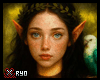 ✘Guild FRM Squicion