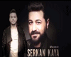 SERKAN KAYA-MESELE(RMX)