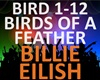Billie Eilish - Birds Of