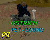 [PG] OSTRICH PET+SOUND