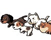 Adorable Animated Dogs