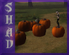{SP}Anim Pumpkin Dance