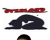 Overlord Head Sign