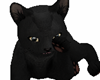 Black Cute Cat