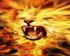 dj light dome lion feu