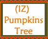 (IZ) Pumpkins Tree