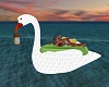 OBS Swan Float