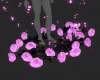 Pink Roses + Snow