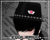 E| Sei's Hat (DMMD)