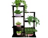 Modern Loft Plant Stand