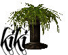 [kiki]standing fern 