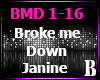 Janine - Broke Me Down