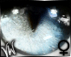 Real Cat Eyes fem