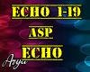 ASP Echo
