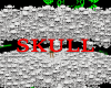 Efect DJ-Skull