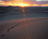 FootPrints In Sand Photo