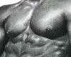 ~N~ Muscled male chest