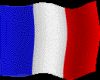 ANIMATED FRANCE FLAG