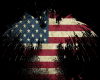 6v3| American Flag