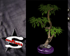Plant/Tree Purple Pot