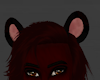 Crimson Lion Ears