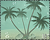 Beach Palms Coconuts
