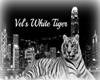 Vel;s Whiter Tiger