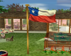 Animated Texas Flag